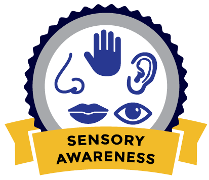 sensory awareness